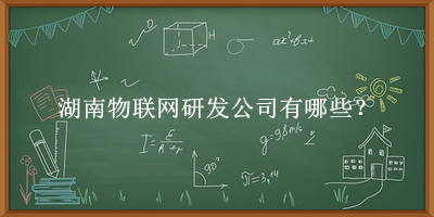 湖南物聯網研發公司