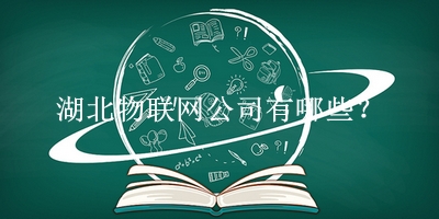 湖北物聯網公司